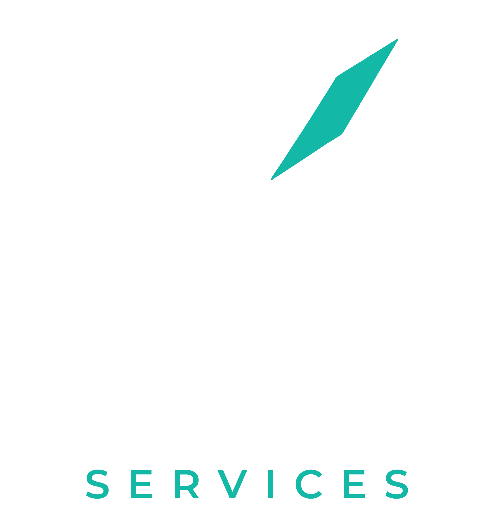 VeralyX Services logo